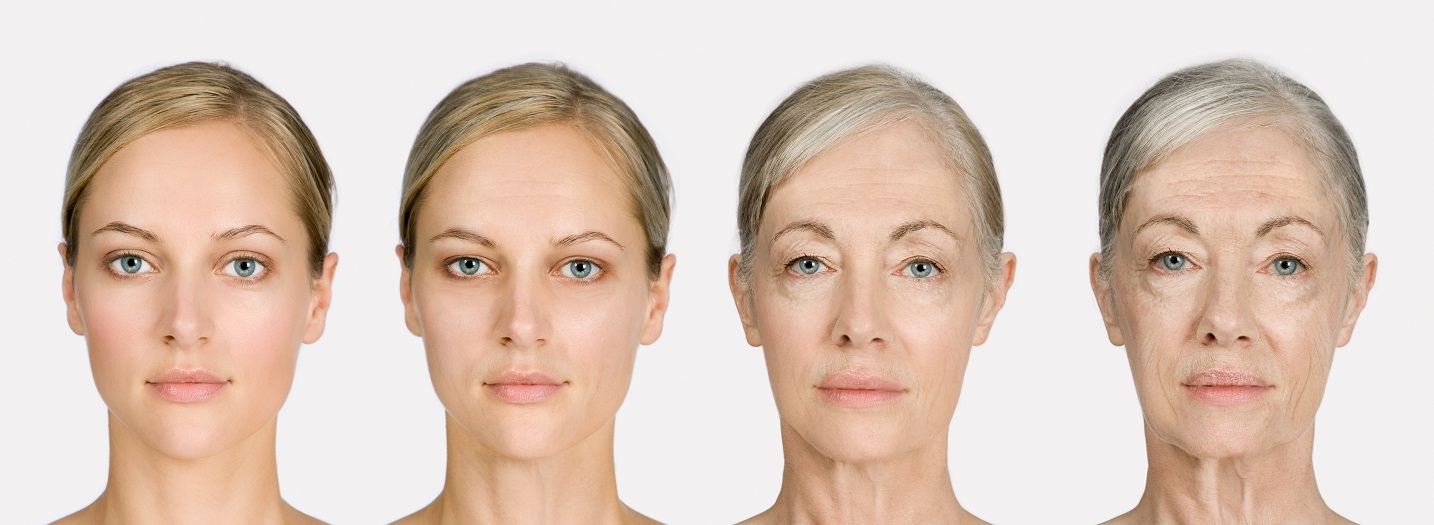 Facial Ageing How Why We Age CleoQ
